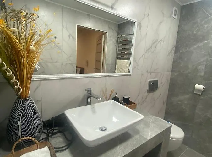 Smerekova Hata 3* Mizhhirya (Transcarpathia)